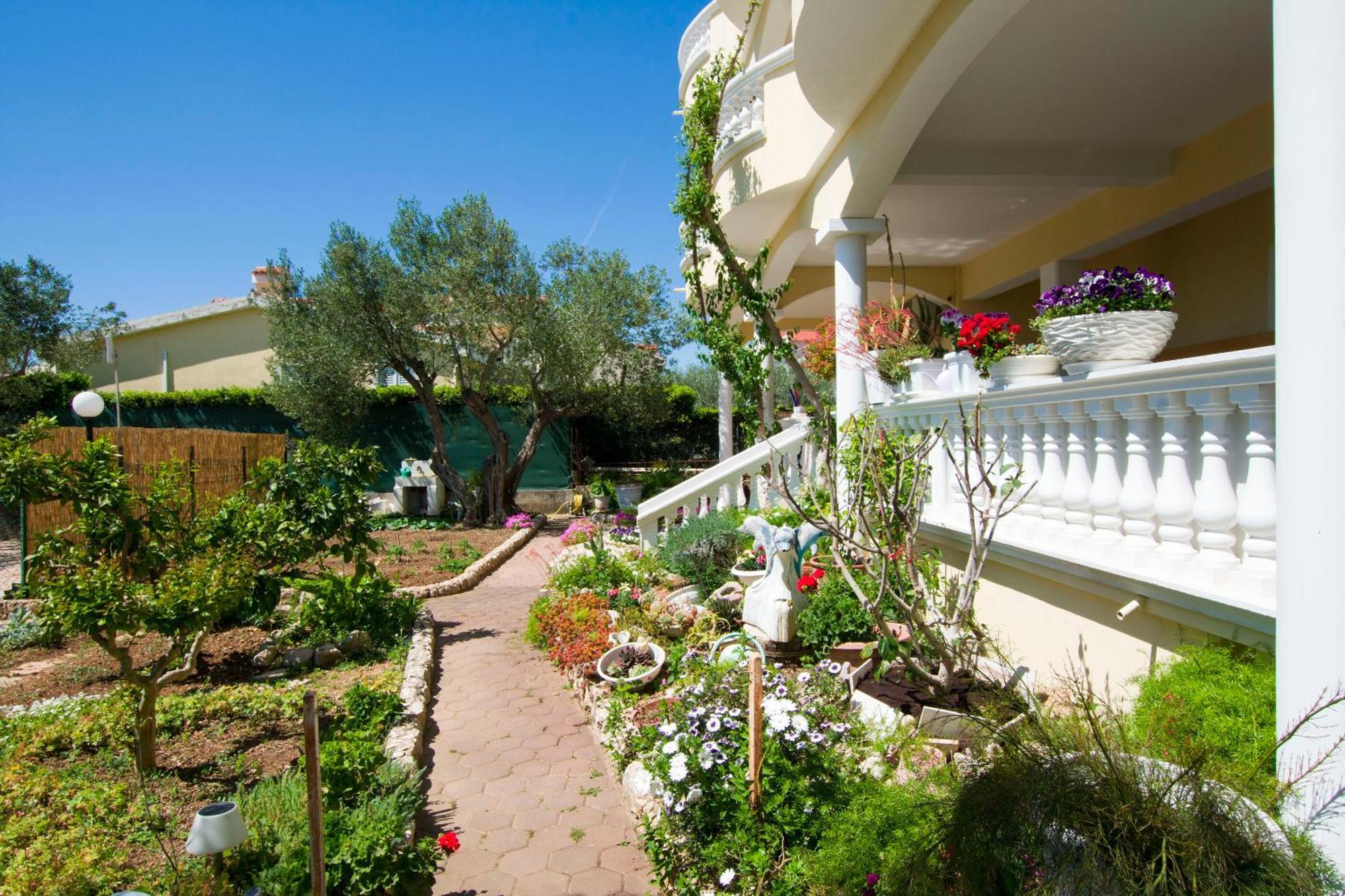 Apartments Dandelion Биоград на Мору Екстериор снимка
